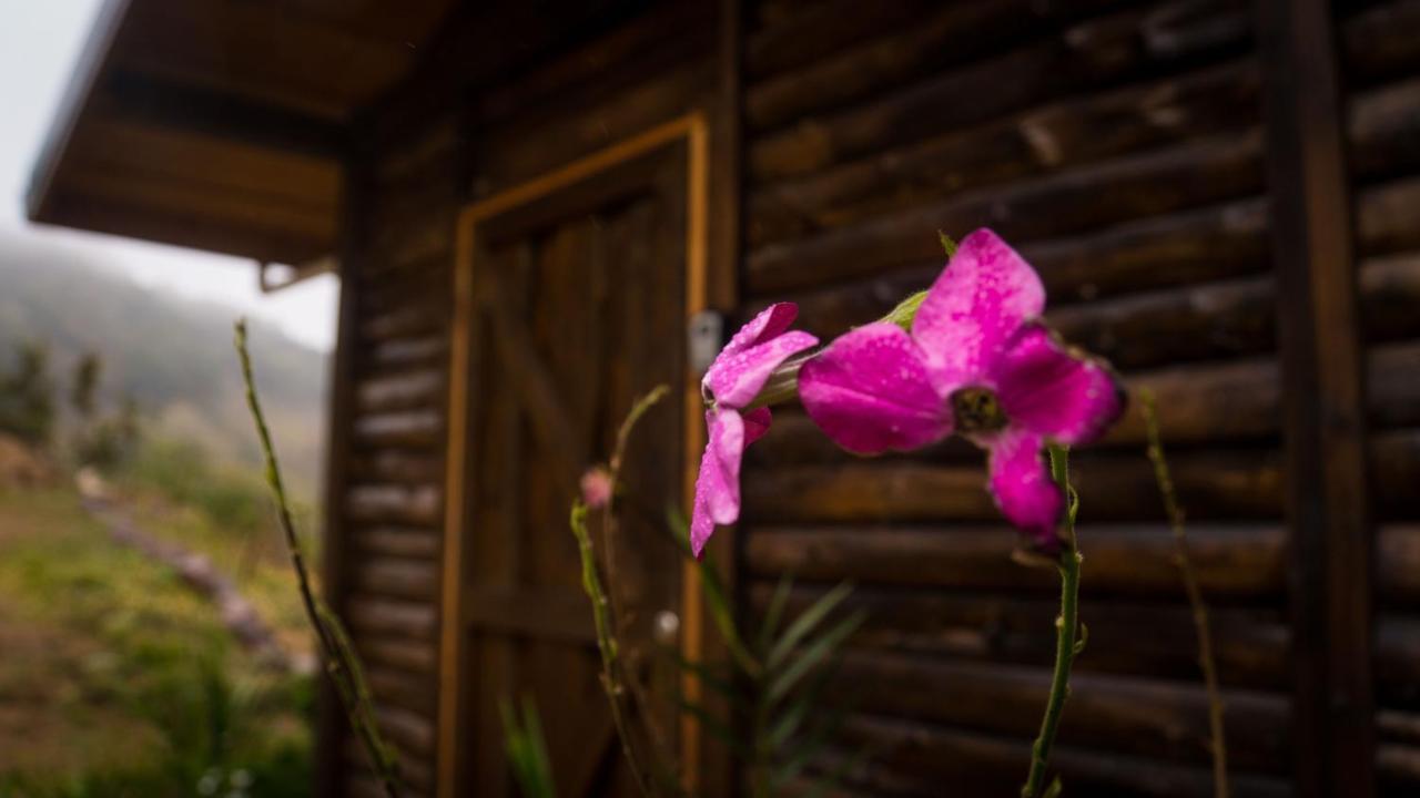 Finca Las Huellas: Cabana Acogedora En La Montana Villa Estrella Ngoại thất bức ảnh